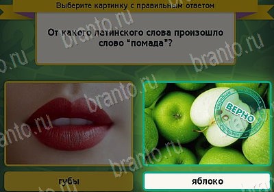 Выбирайка ответы в картинках Уровень 8156