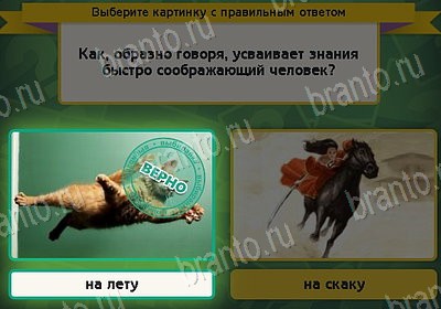 Игра Выбирайка Одноклассники подсказки Уровень 8158