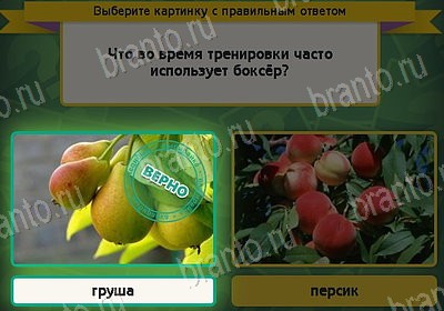 Решения на игру Выбирайка Уровень 8163