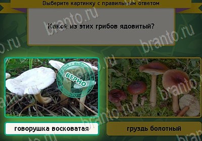 Выбирайка игра помощь Уровень 8185