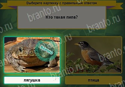 Игра Выбирайка Мой мир ответы Уровень 8187