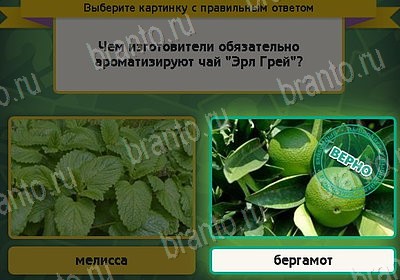 ответы на игру в одноклассниках Выбирайка Уровень 8196