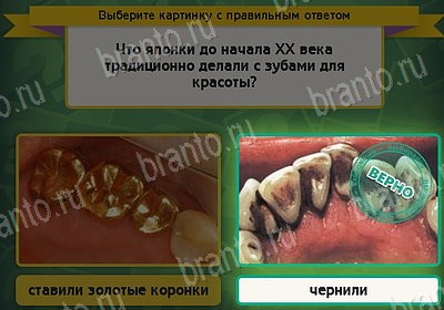 Выбирайка решения Уровень 8202