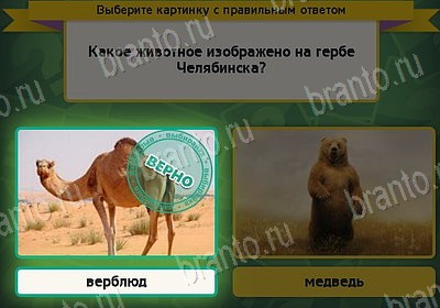 Выбирайка решения Уровень 8212