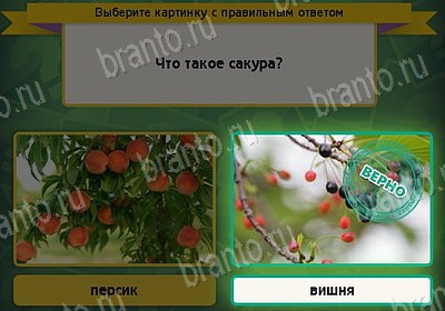 решебник на игру Выбирайка Уровень 8231