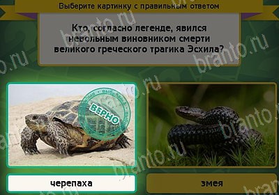 Выбирайка игра ответы Уровень 8243