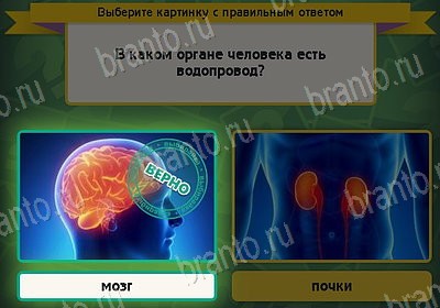 Игра Выбирайка Одноклассники подсказки Уровень 8248