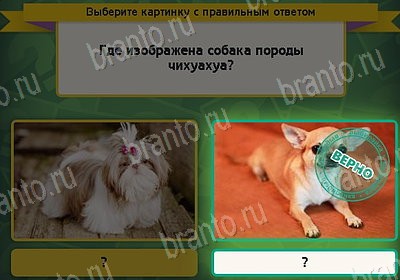 Игра Выбирайка ответы Уровень 8267