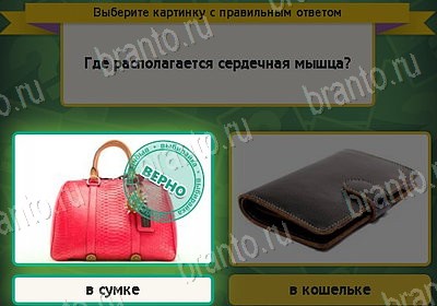 игра Выбирайка помощь Уровень 8269