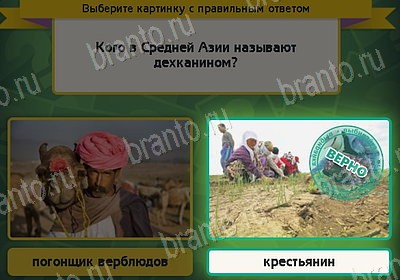 игра Выбирайка ВК помощь Уровень 8279