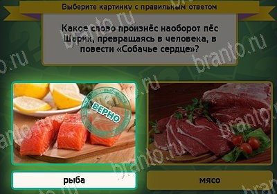 игра Выбирайка ответ на Уровень 8290