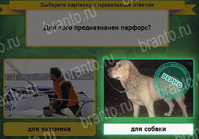 Выбирайка решения Уровень 8292