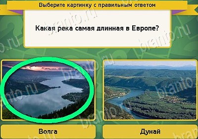 Выбирайка игра подсказки Уровень 8294