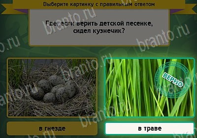 Выбирайка игра помощь Уровень 8295