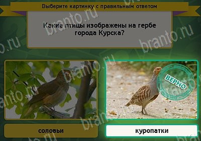 Выбирайка игра подсказки Уровень 8304