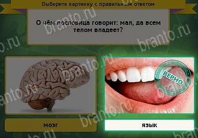 Игра Выбирайка Одноклассники подсказки Уровень 8308