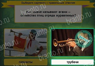 игра Выбирайка Мой мир ответ на Уровень 8310