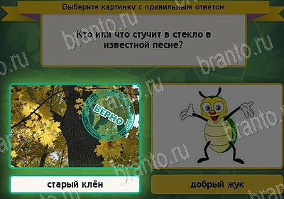 Подсказки на игру Выбирайка Уровень 8312