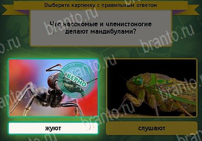 Помощь на игру ВК Выбирайка Уровень 8314