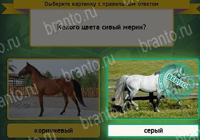 Игра Выбирайка Мой мир ответы Уровень 8337