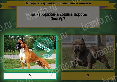 Выбирайка игра помощь Уровень 8355