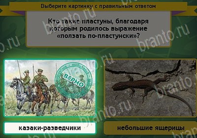 Выбирайка ответы в картинках Уровень 8366