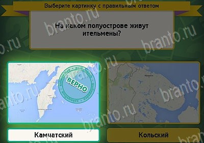 Выбирайка ответы в картинках Уровень 8386