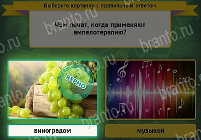 Выбирайка игра ответы Уровень 8393