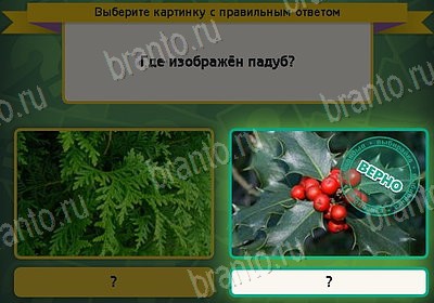 Решения на игру Выбирайка Уровень 8403