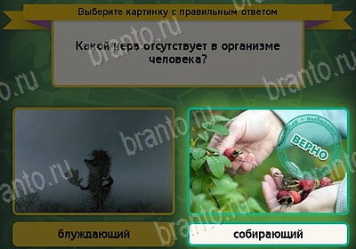 Выбирайка игра помощь Уровень 8415