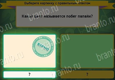 игра Выбирайка ответ на Уровень 8420