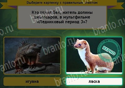 Одноклассники Выбирайка ответы Уровень 8438