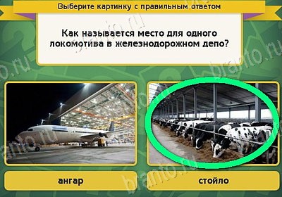 игра Выбирайка ответ на Уровень 8450