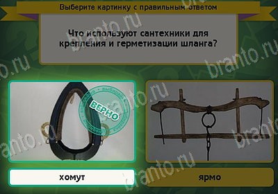 Выбирайка решения Уровень 8452