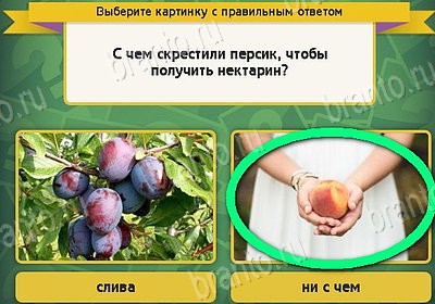 Выбирайка игра ответы Уровень 8453