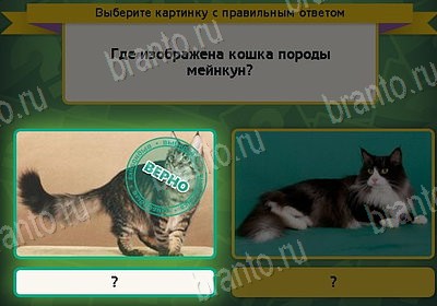 Выбирайка игра подсказки Уровень 8454
