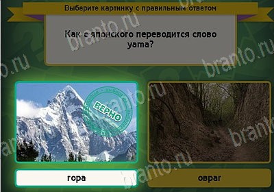 Выбирайка игра помощь Уровень 8455