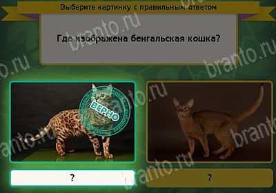 Решения на игру Выбирайка Уровень 8463