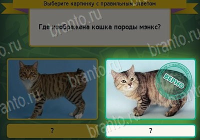 Помощь на игру ВК Выбирайка Уровень 8464