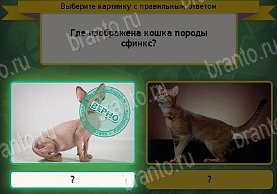 Выбирайка игра ответы Уровень 8483