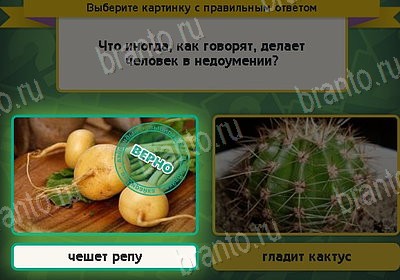 Выбирайка игра подсказки Уровень 8484