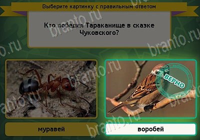 Игра Выбирайка Мой мир ответы Уровень 8487