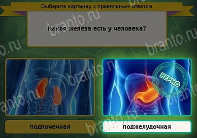 Игра Выбирайка подсказки Уровень 8508