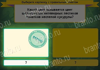 игра Выбирайка помощь Уровень 8509