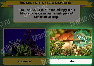 ответы к игре Выбирайка Уровень 8525