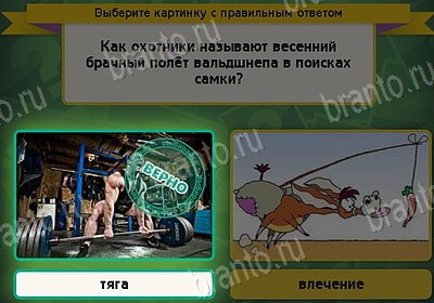 ответы на игру Выбирайка в одноклассниках Уровень 8551