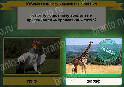 Выбирайка решения Уровень 8592