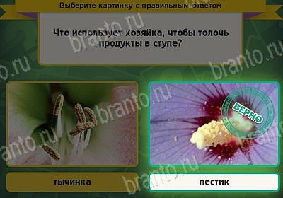 Игра Выбирайка Мой мир ответы Уровень 8607