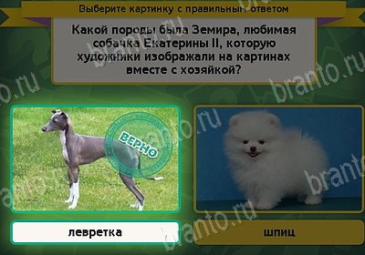 игра Выбирайка ВК помощь Уровень 8609