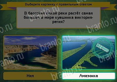 Выбирайка игра ответы Уровень 8653